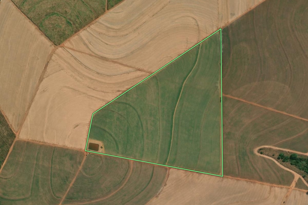 Imagem de satélite do imóvel rural em Catiguá (SP), com o contorno declarado no CAR desenhado por cima.
