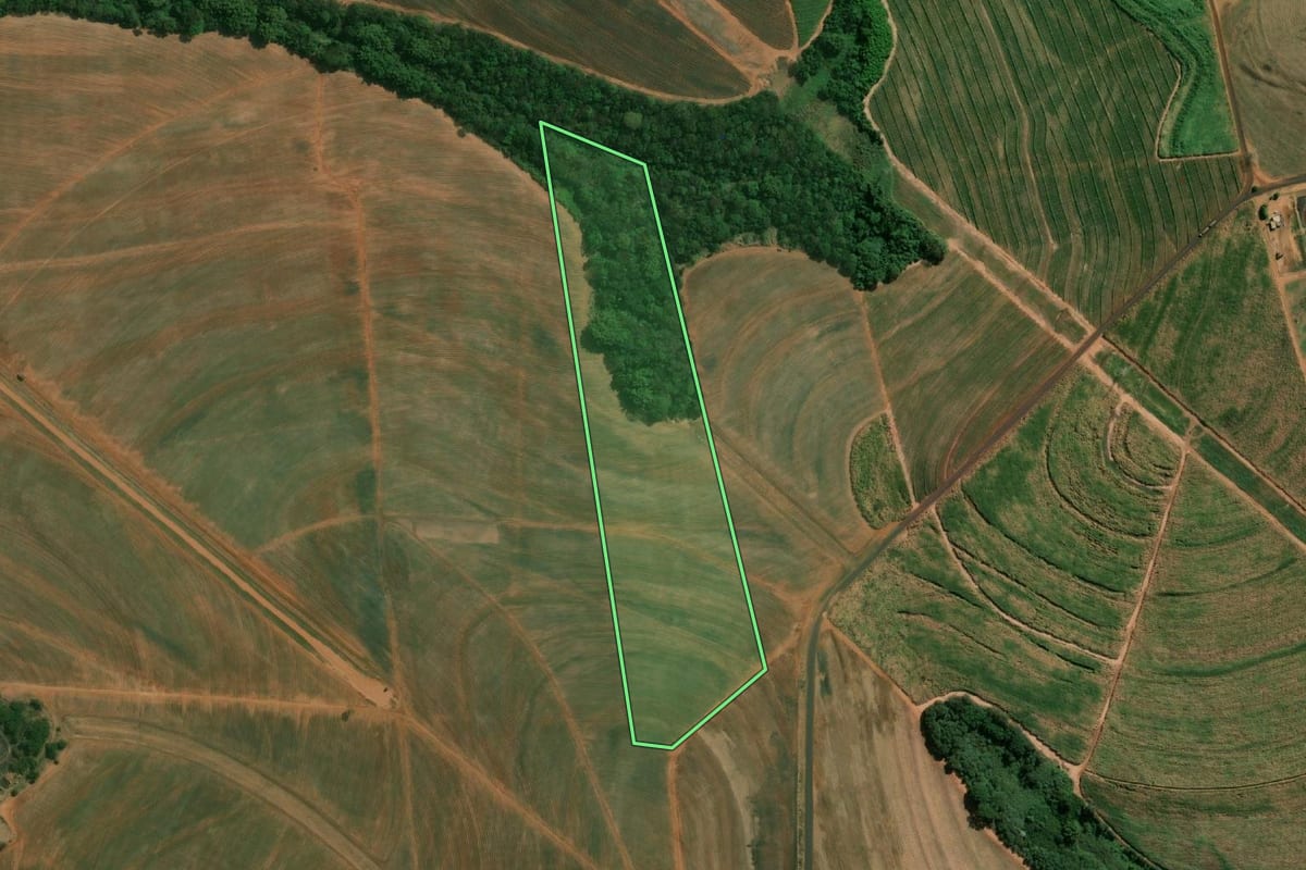 Imagem de satélite do imóvel rural em Catiguá (SP), com o contorno declarado no CAR desenhado por cima.
