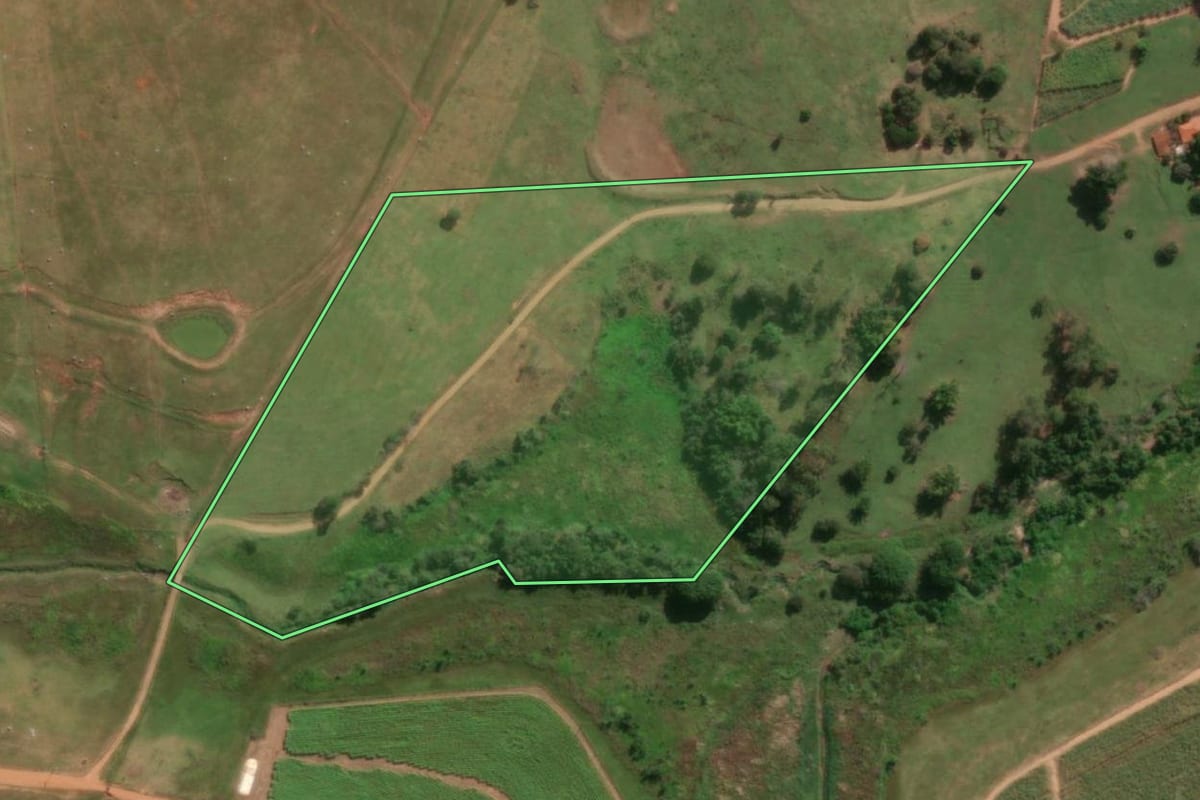 Imagem de satélite do imóvel rural em Cedral (SP), com o contorno declarado no CAR desenhado por cima.