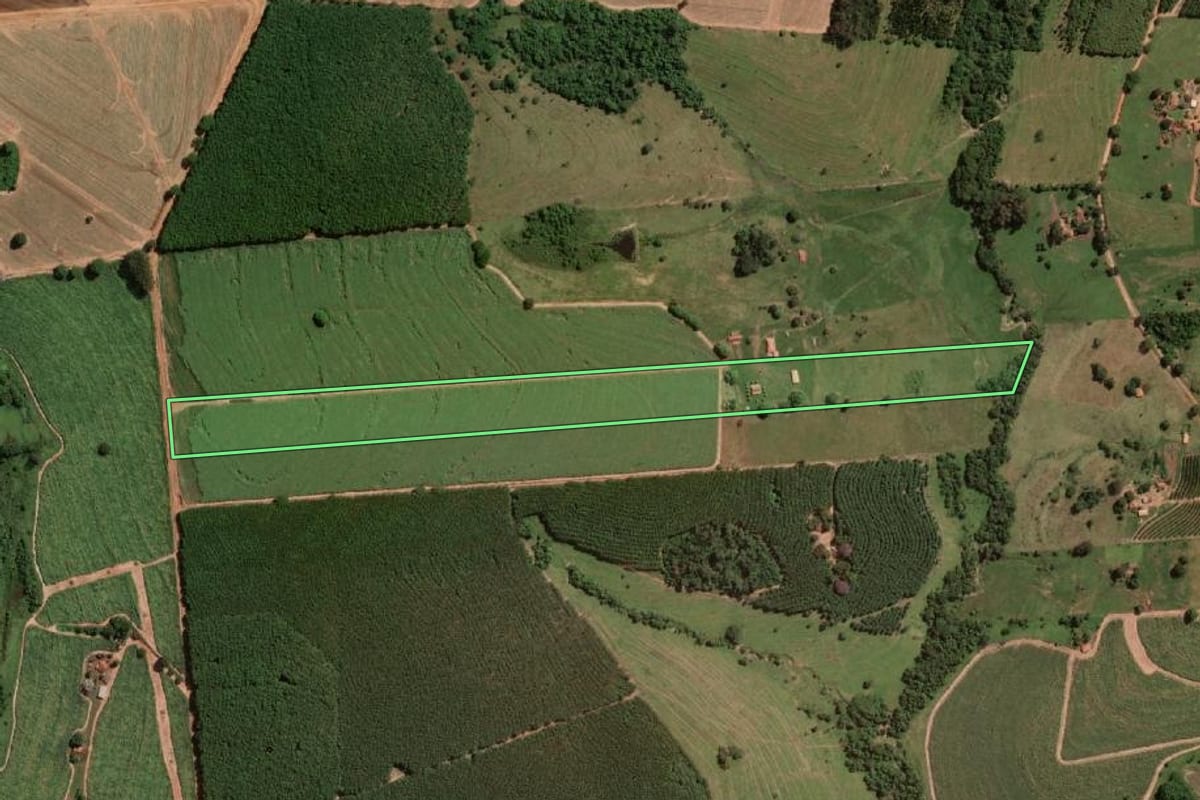 Imagem de satélite do imóvel rural em Cedral (SP), com o contorno declarado no CAR desenhado por cima.
