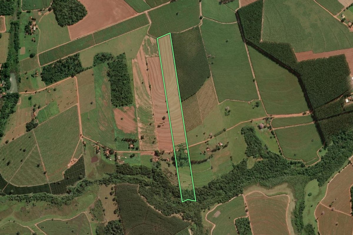 Imagem de satélite do imóvel rural em Cedral (SP), com o contorno declarado no CAR desenhado por cima.