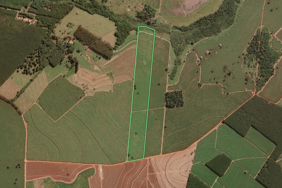 Imagem de satélite do imóvel rural em Cedral (SP), com o contorno declarado no CAR desenhado por cima.