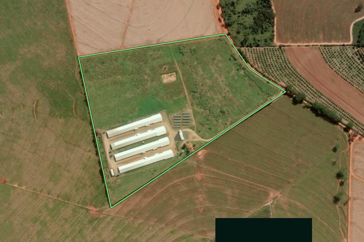 Imagem de satélite do imóvel rural em Cedral (SP), com o contorno declarado no CAR desenhado por cima.
