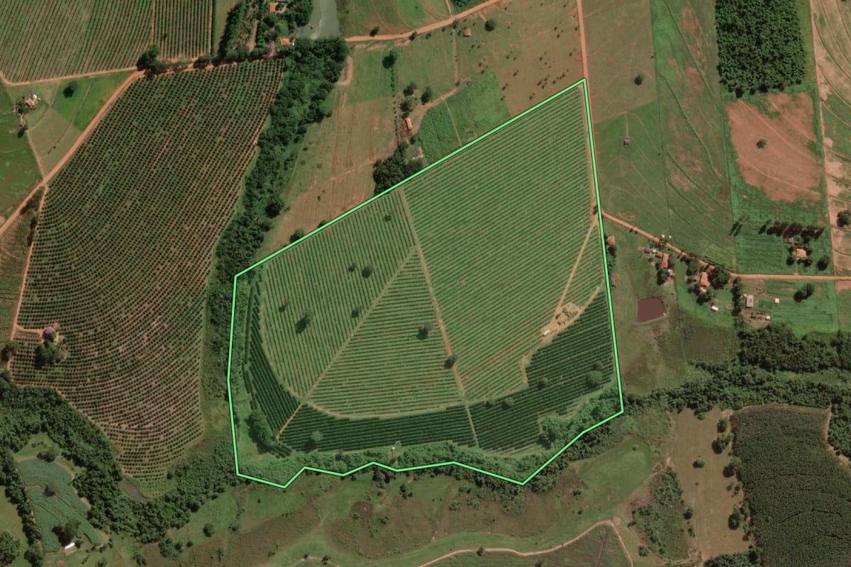 Imagem de satélite do imóvel rural em Cedral (SP), com o contorno declarado no CAR desenhado por cima.
