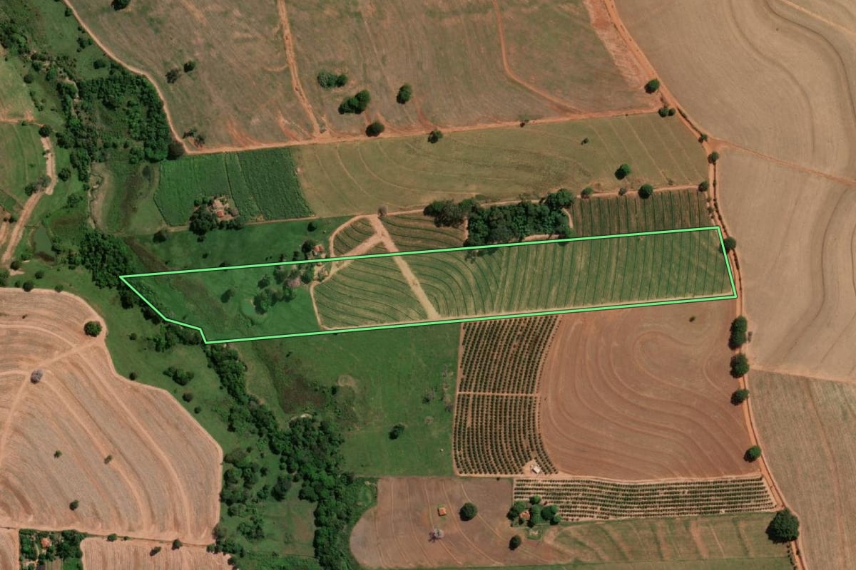 Imagem de satélite do imóvel rural em Cedral (SP), com o contorno declarado no CAR desenhado por cima.
