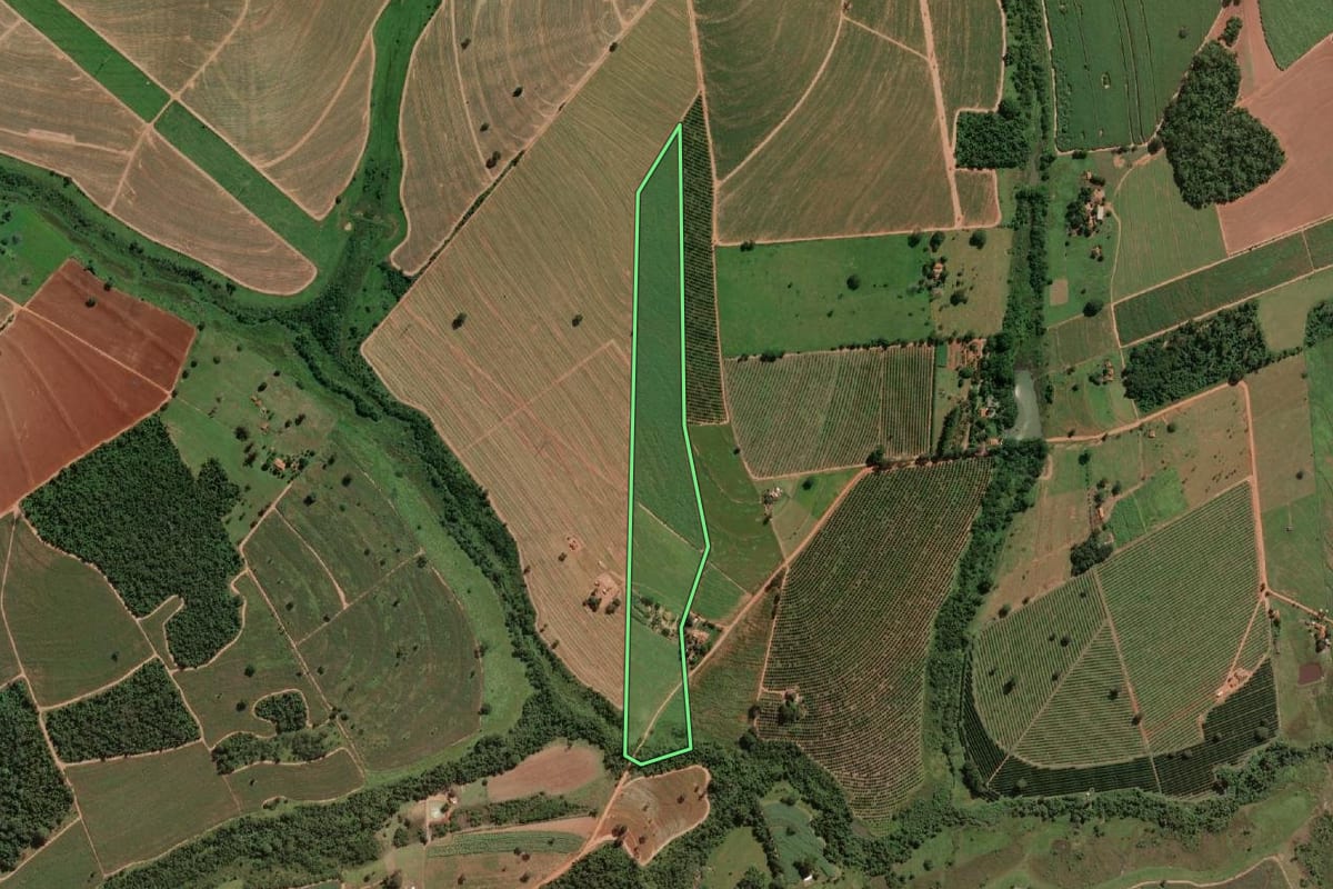Imagem de satélite do imóvel rural em Cedral (SP), com o contorno declarado no CAR desenhado por cima.
