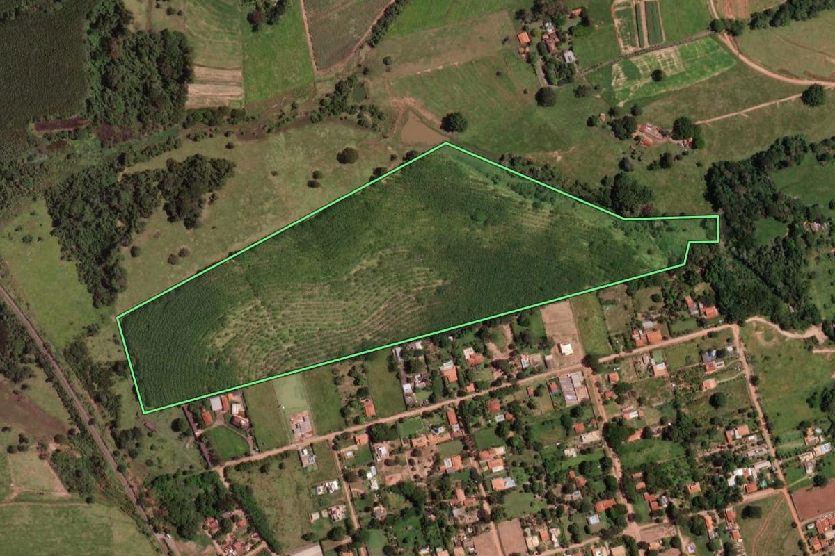 Imagem de satélite do imóvel rural em Cedral (SP), com o contorno declarado no CAR desenhado por cima.