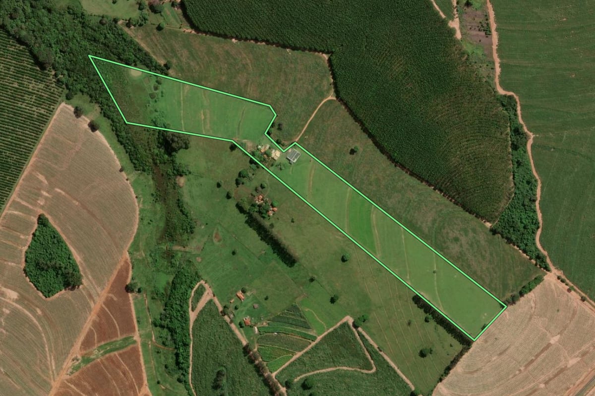 Imagem de satélite do imóvel rural em Cedral (SP), com o contorno declarado no CAR desenhado por cima.