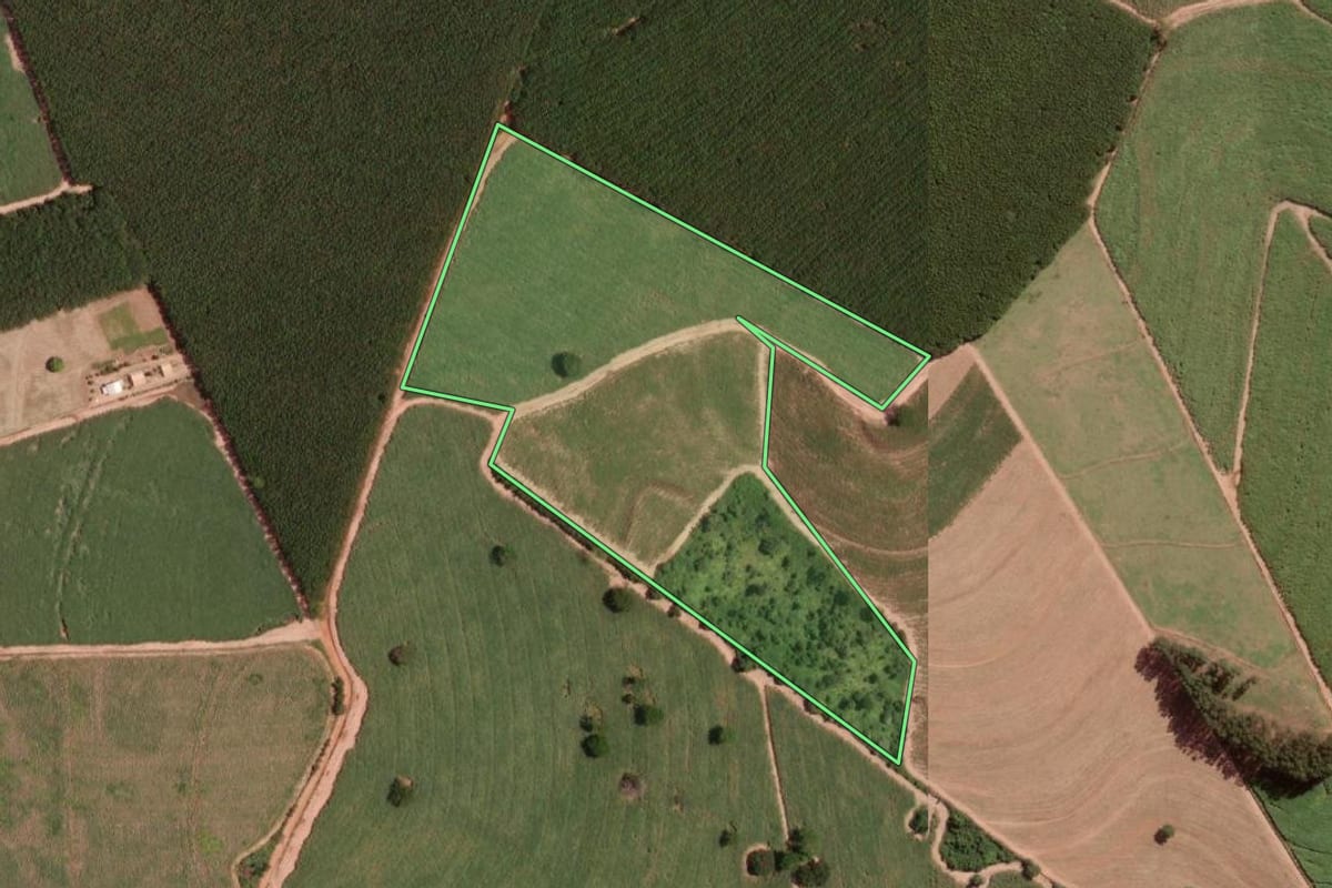 Imagem de satélite do imóvel rural em Cedral (SP), com o contorno declarado no CAR desenhado por cima.