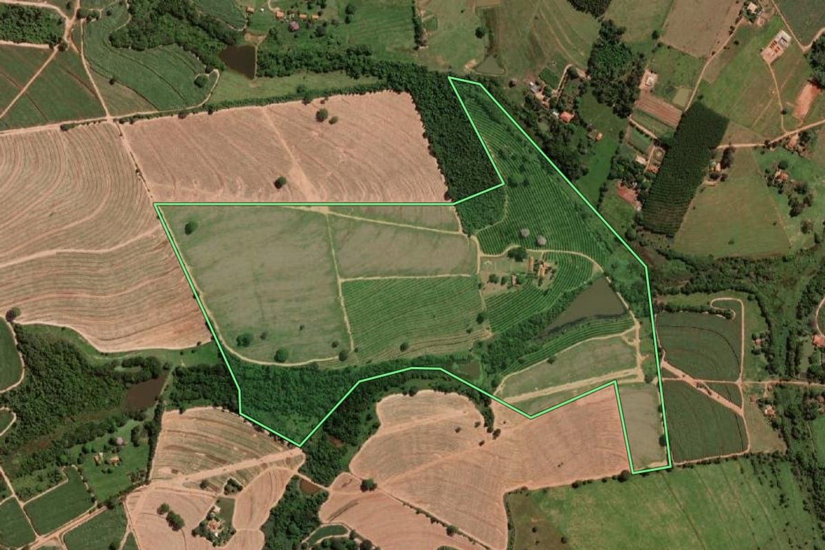 Imagem de satélite do imóvel rural em Cedral (SP), com o contorno declarado no CAR desenhado por cima.