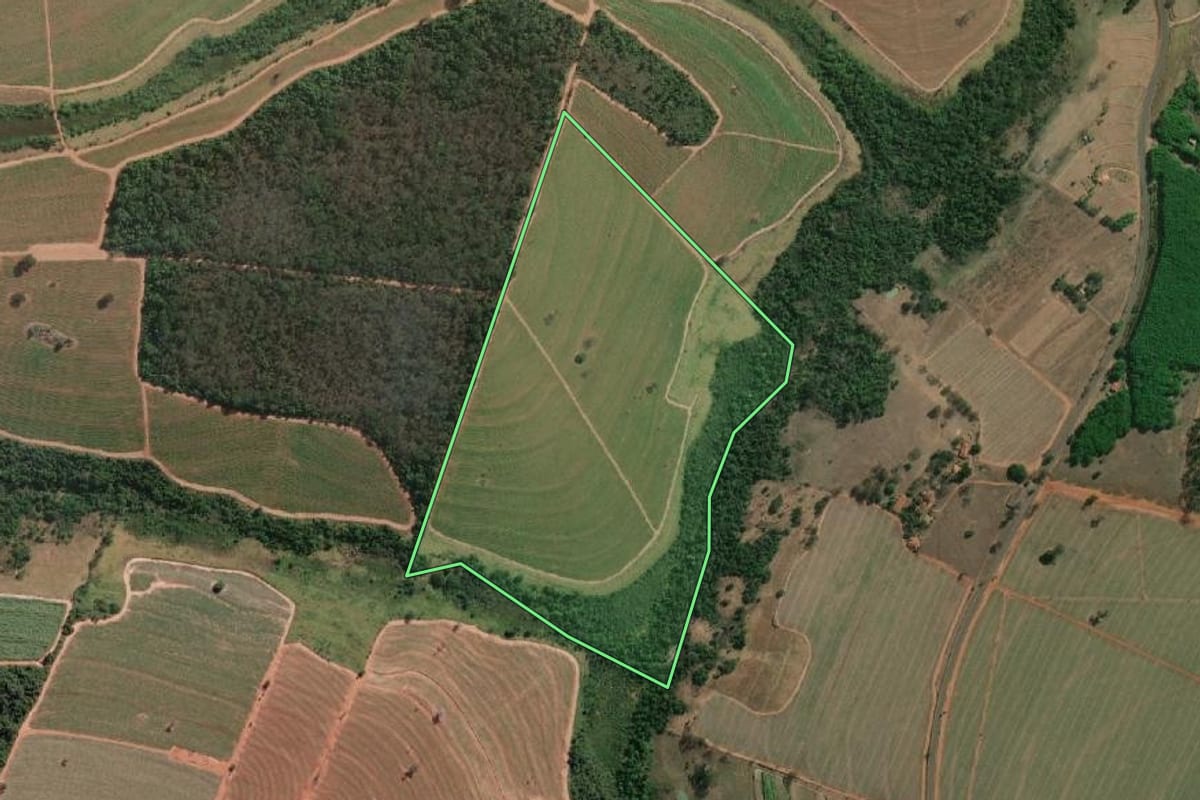 Imagem de satélite do imóvel rural em Cedral (SP), com o contorno declarado no CAR desenhado por cima.