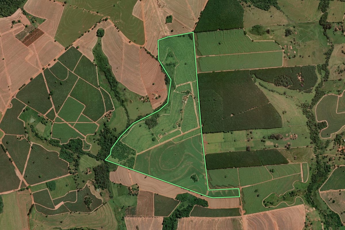 Imagem de satélite do imóvel rural em Cedral (SP), com o contorno declarado no CAR desenhado por cima.