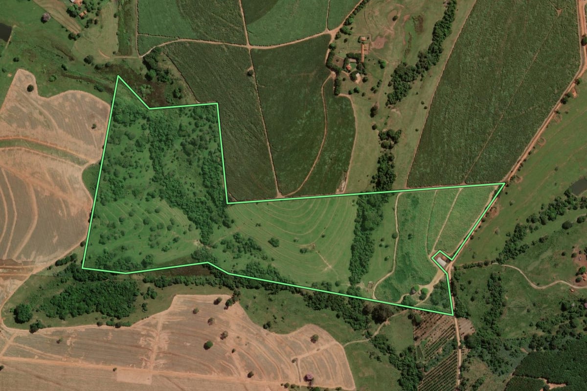 Imagem de satélite do imóvel rural em Cedral (SP), com o contorno declarado no CAR desenhado por cima.