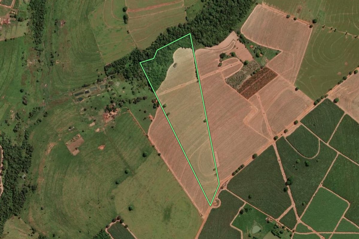 Imagem de satélite do imóvel rural em Cedral (SP), com o contorno declarado no CAR desenhado por cima.