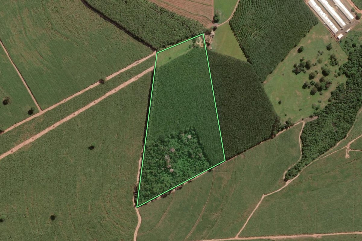 Imagem de satélite do imóvel rural em Cedral (SP), com o contorno declarado no CAR desenhado por cima.