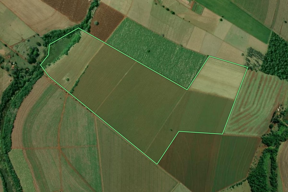 Imagem de satélite do imóvel rural em Cerqueira César (SP), com o contorno declarado no CAR desenhado por cima.