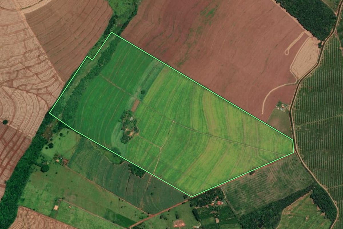 Imagem de satélite do imóvel rural em Cerqueira César (SP), com o contorno declarado no CAR desenhado por cima.