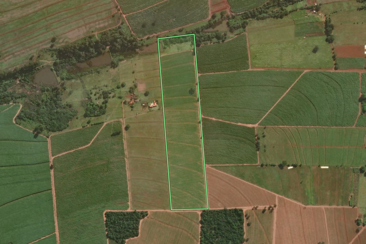 Imagem de satélite do imóvel rural em Cerqueira César (SP), com o contorno declarado no CAR desenhado por cima.