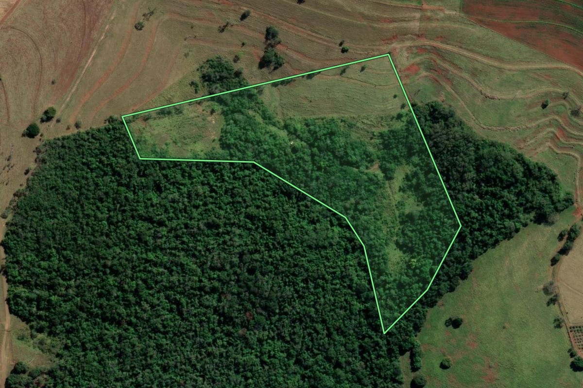 Imagem de satélite do imóvel rural em Cerqueira César (SP), com o contorno declarado no CAR desenhado por cima.