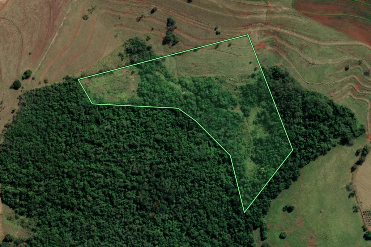 Imagem de satélite do imóvel rural em Cerqueira César (SP), com o contorno declarado no CAR desenhado por cima.