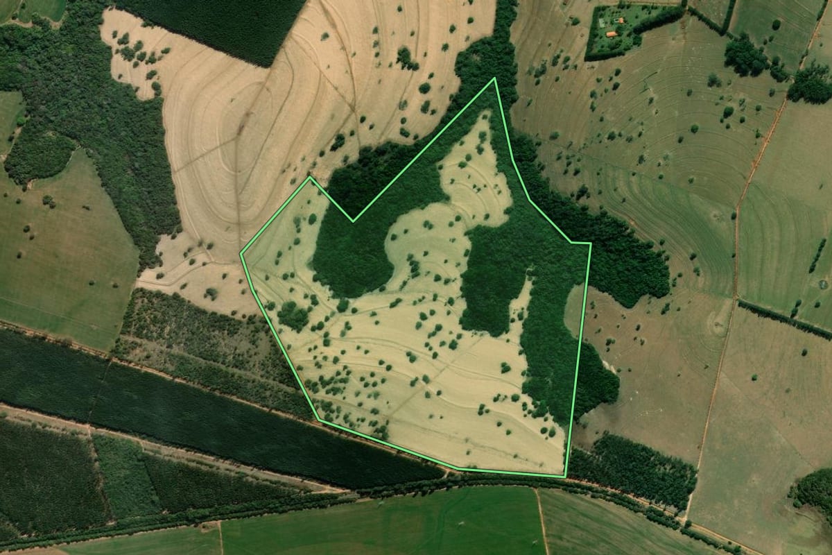 Imagem de satélite do imóvel rural em Cerqueira César (SP), com o contorno declarado no CAR desenhado por cima.