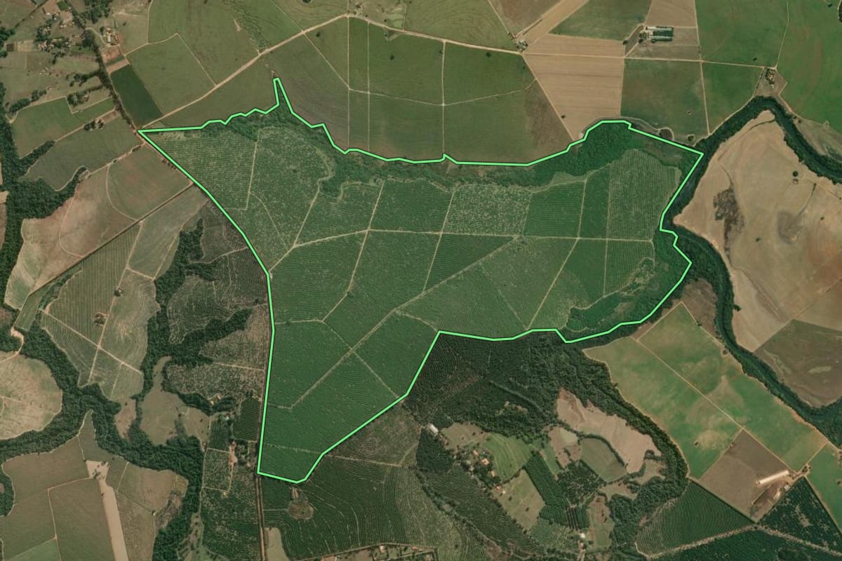 Imagem de satélite do imóvel rural em Cesário Lange (SP), com o contorno declarado no CAR desenhado por cima.