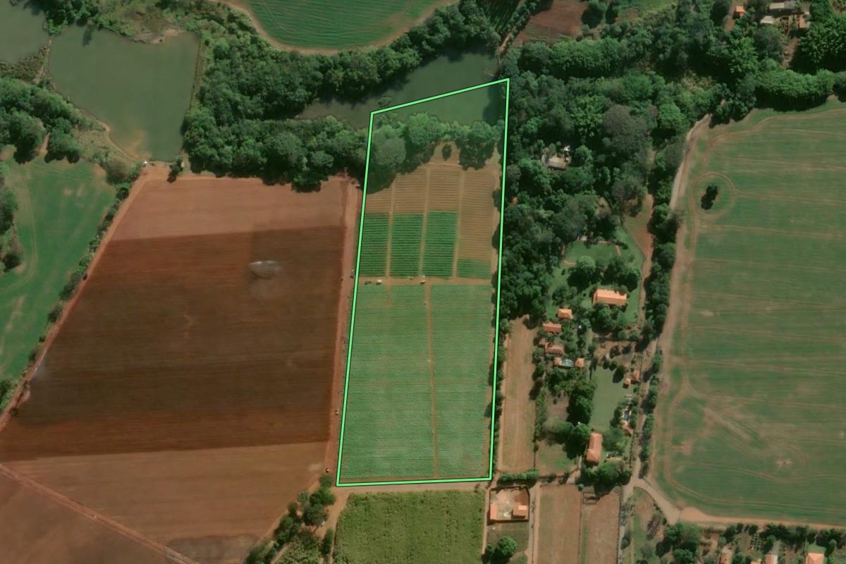 Imagem de satélite do imóvel rural em Cesário Lange (SP), com o contorno declarado no CAR desenhado por cima.