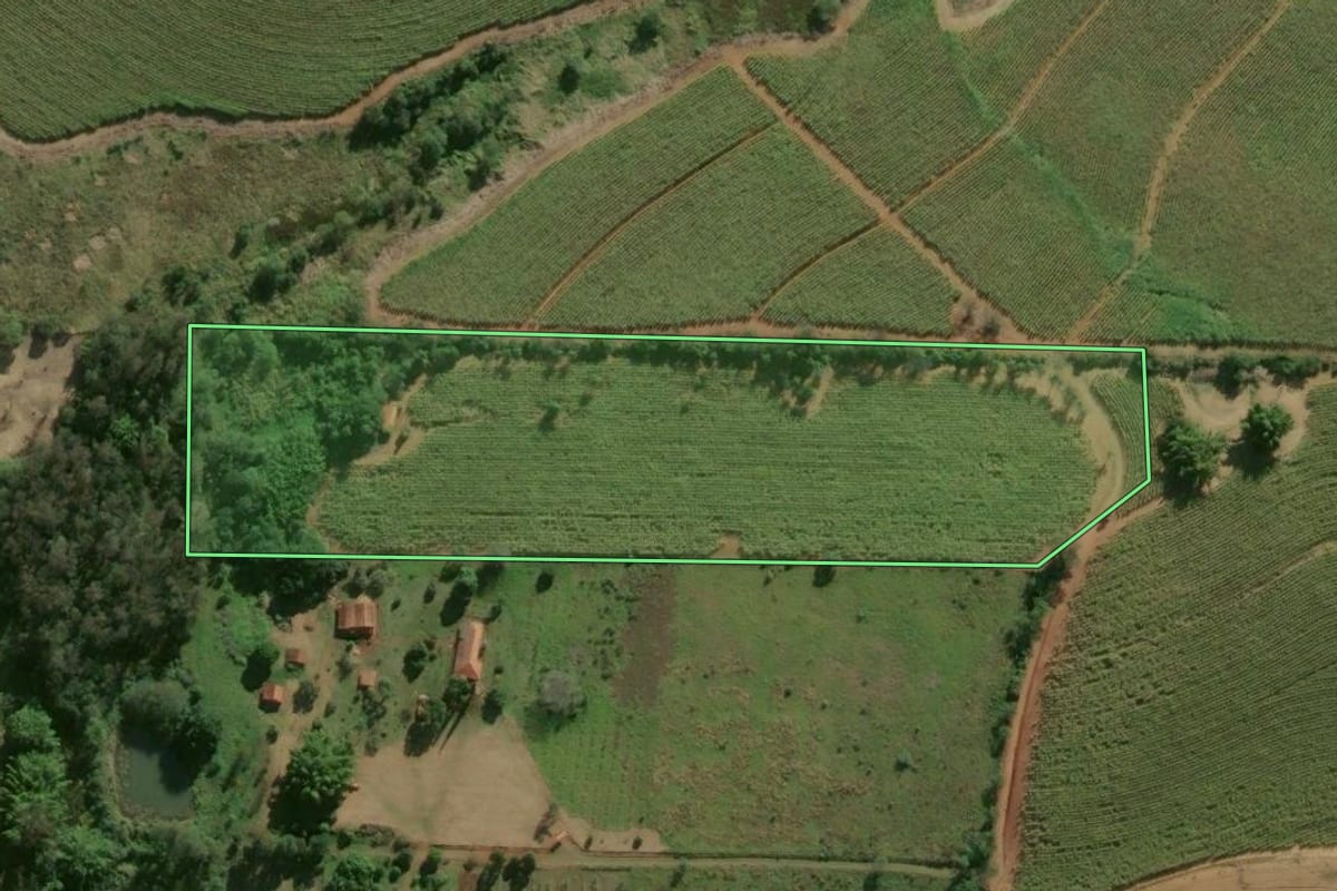 Imagem de satélite do imóvel rural em Cesário Lange (SP), com o contorno declarado no CAR desenhado por cima.