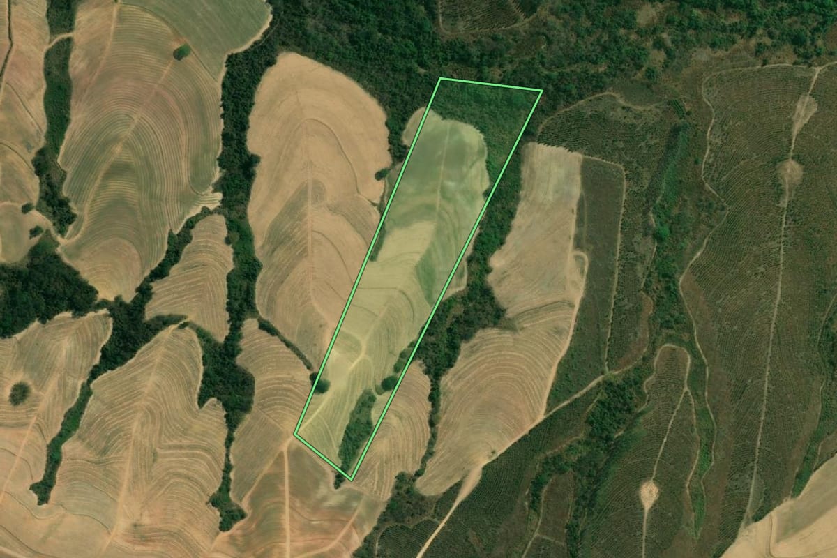Imagem de satélite do imóvel rural em Charqueada (SP), com o contorno declarado no CAR desenhado por cima.
