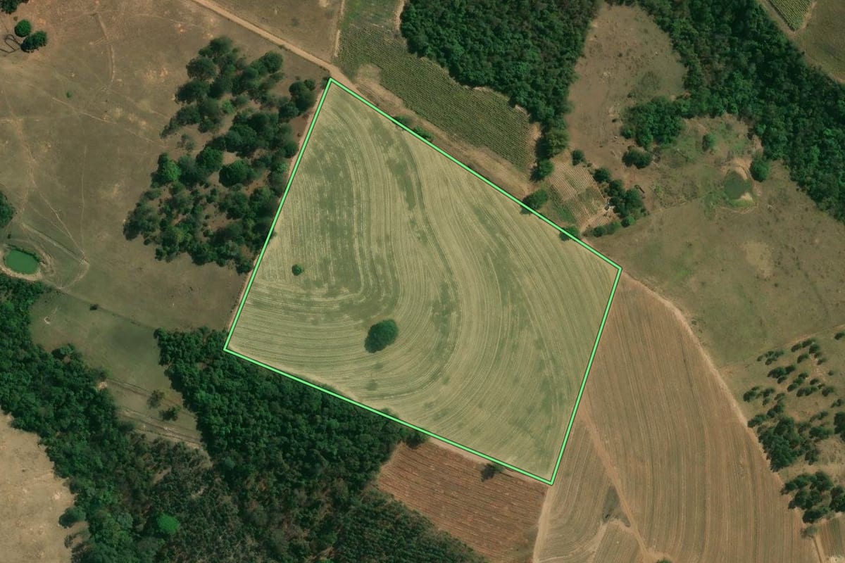 Imagem de satélite do imóvel rural em Charqueada (SP), com o contorno declarado no CAR desenhado por cima.