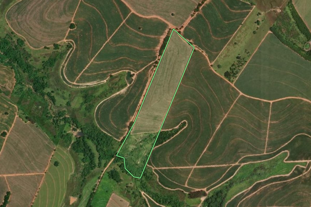 Imagem de satélite do imóvel rural em Clementina (SP), com o contorno declarado no CAR desenhado por cima.