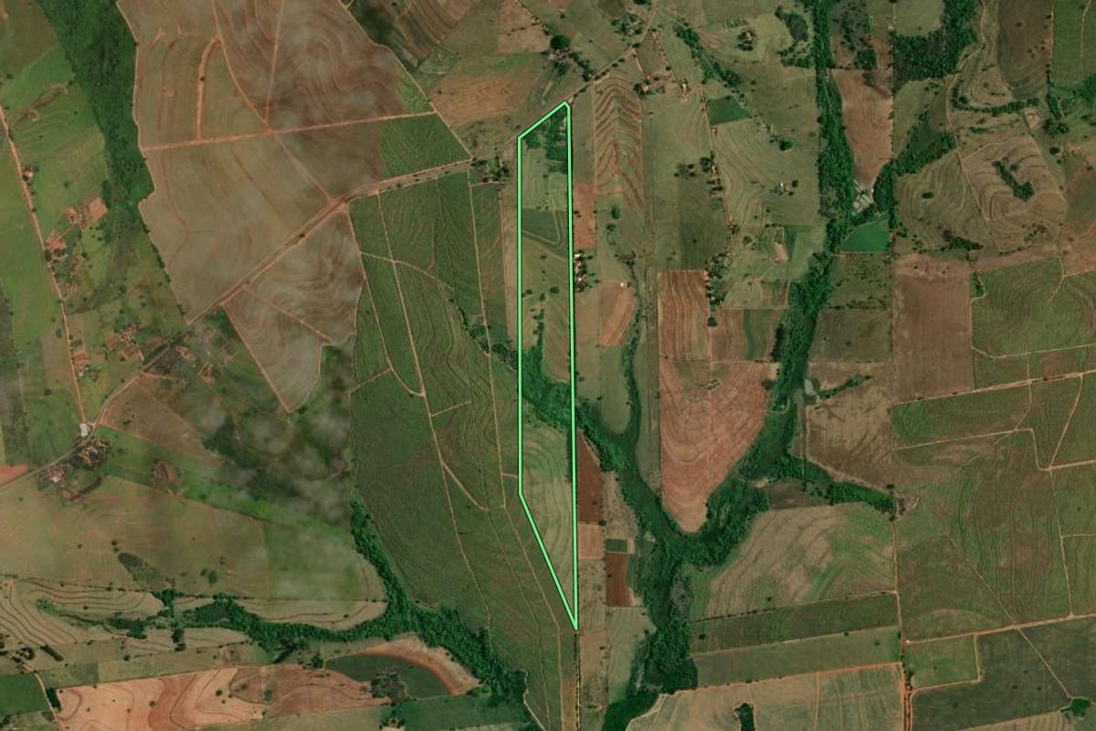 Imagem de satélite do imóvel rural em Clementina (SP), com o contorno declarado no CAR desenhado por cima.