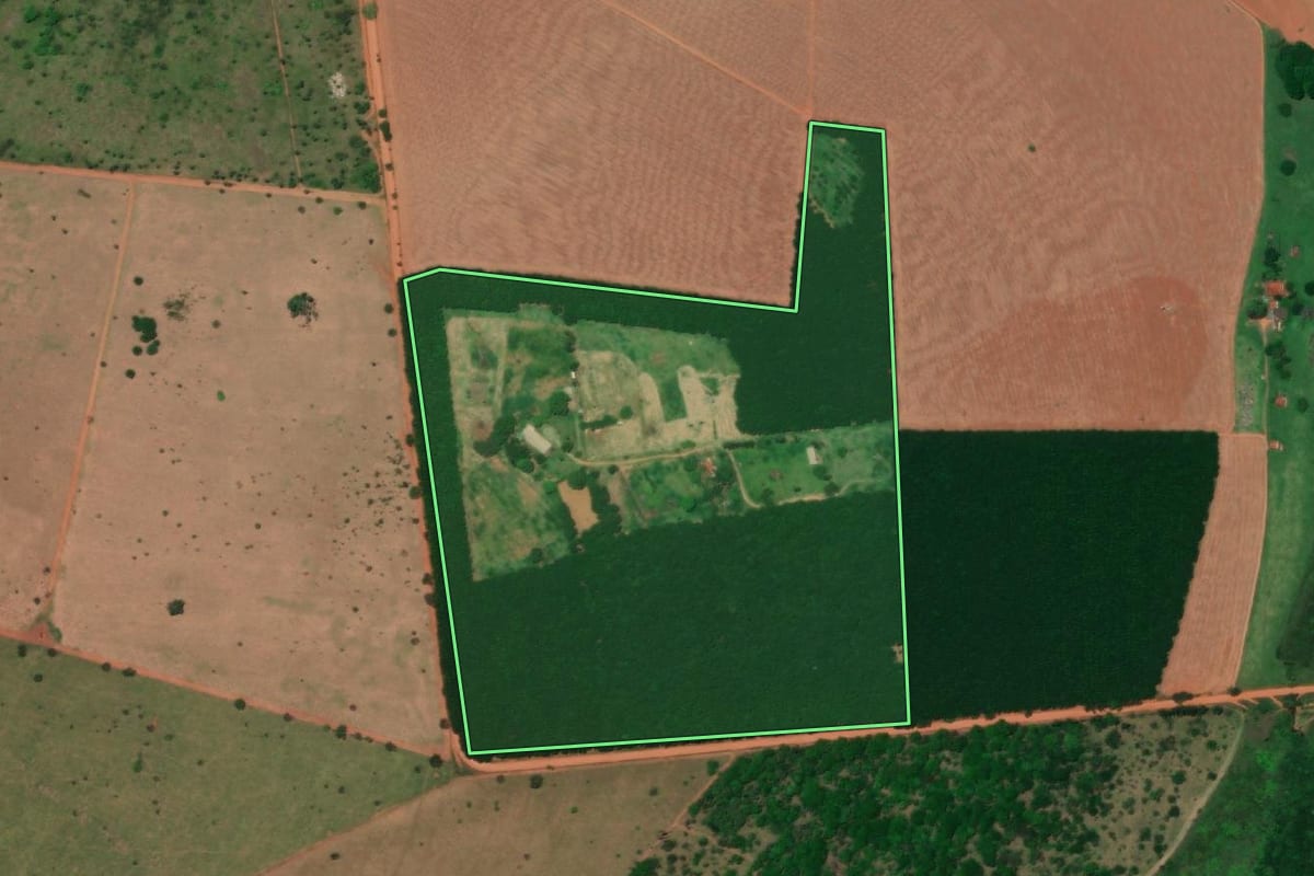 Imagem de satélite do imóvel rural em Colina (SP), com o contorno declarado no CAR desenhado por cima.