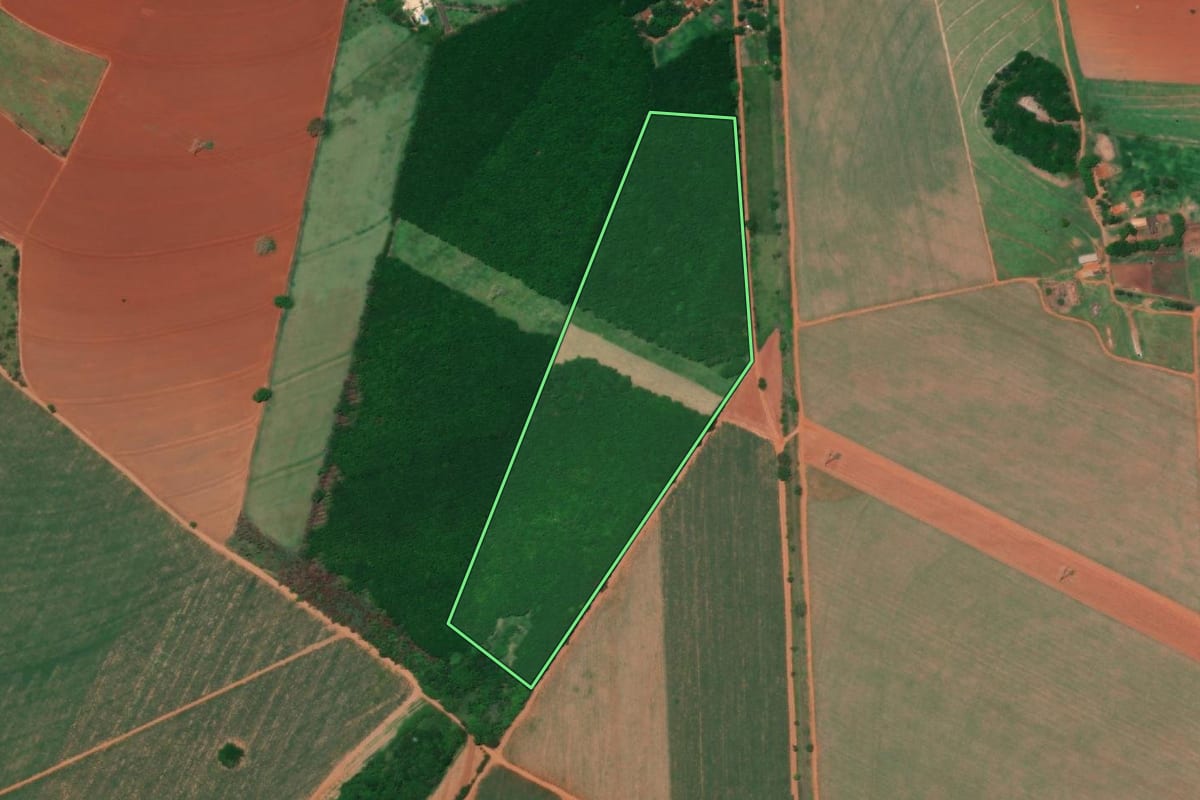 Imagem de satélite do imóvel rural em Colina (SP), com o contorno declarado no CAR desenhado por cima.
