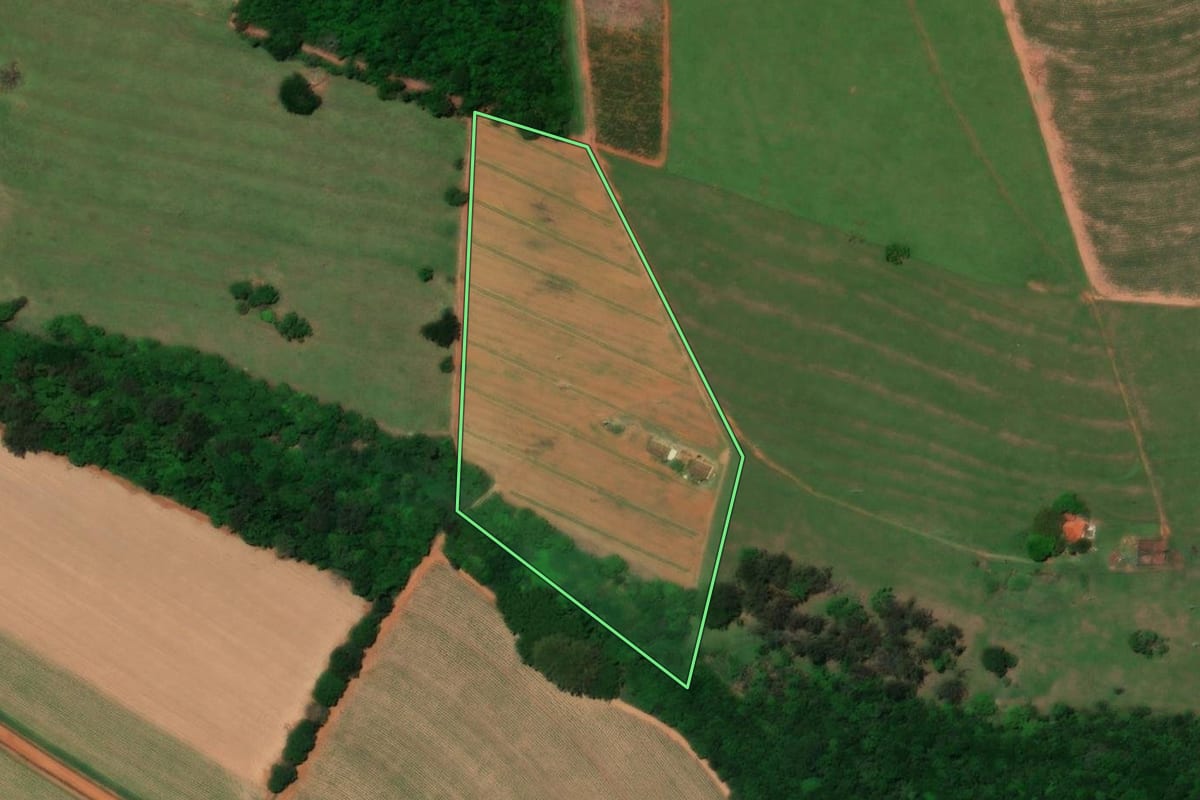 Imagem de satélite do imóvel rural em Colina (SP), com o contorno declarado no CAR desenhado por cima.