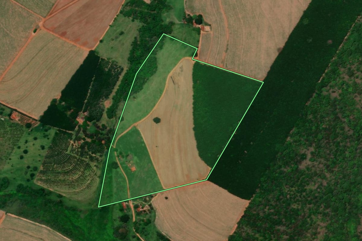 Imagem de satélite do imóvel rural em Colina (SP), com o contorno declarado no CAR desenhado por cima.
