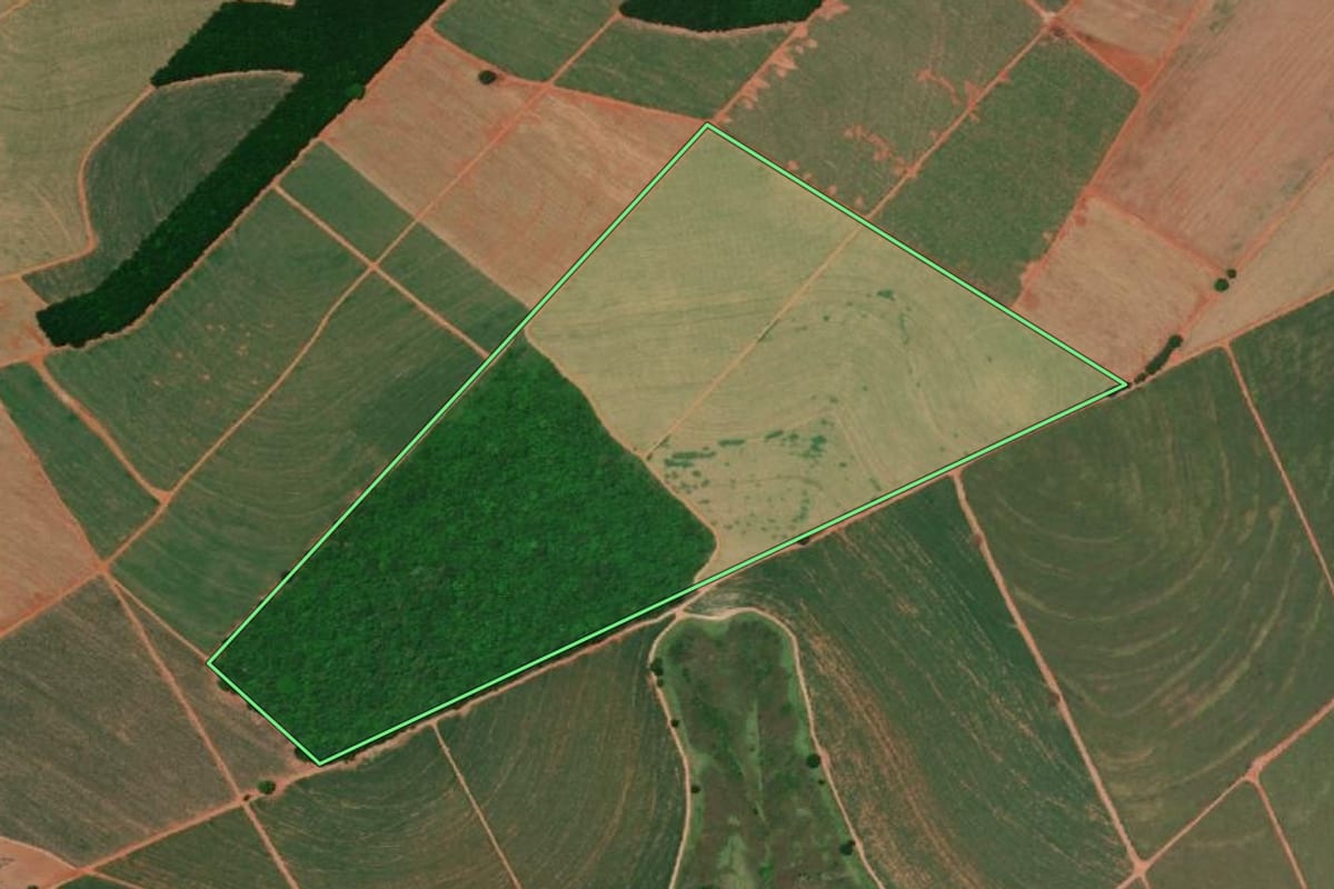 Imagem de satélite do imóvel rural em Colina (SP), com o contorno declarado no CAR desenhado por cima.