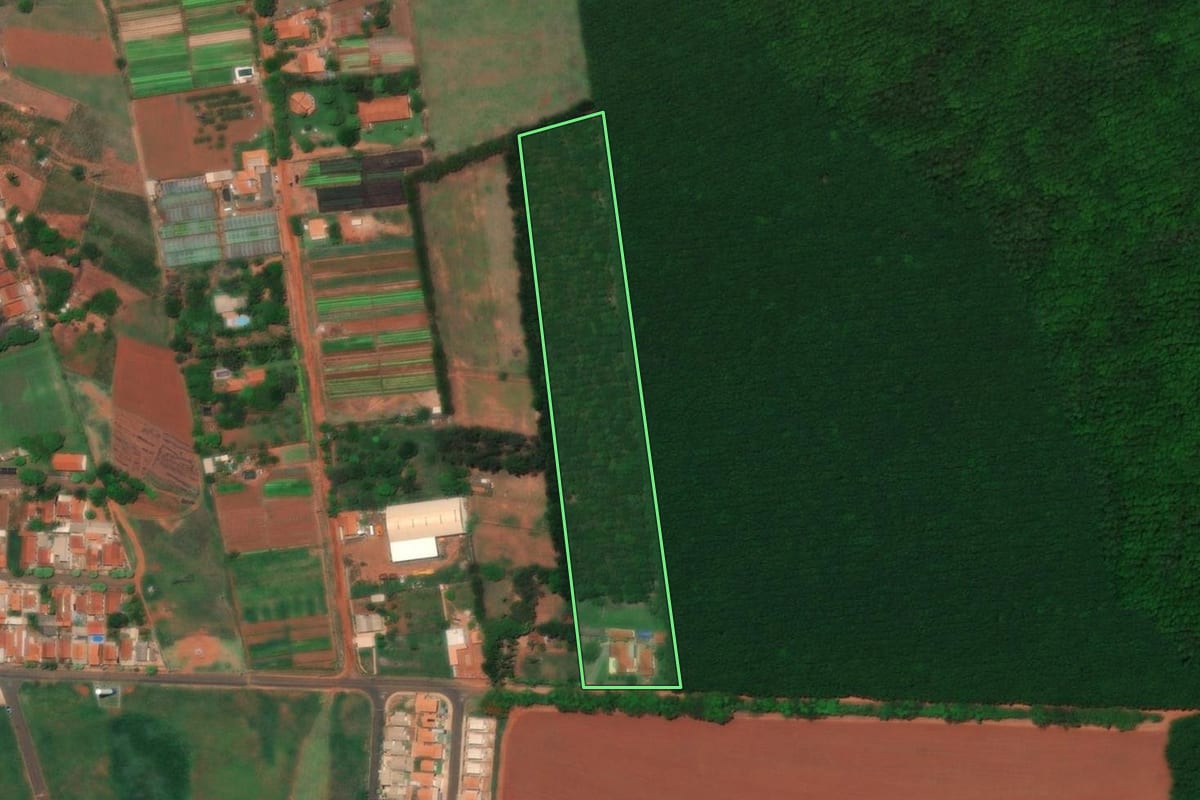 Imagem de satélite do imóvel rural em Colina (SP), com o contorno declarado no CAR desenhado por cima.