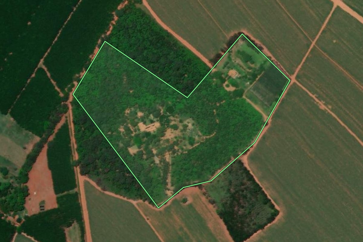 Imagem de satélite do imóvel rural em Colina (SP), com o contorno declarado no CAR desenhado por cima.