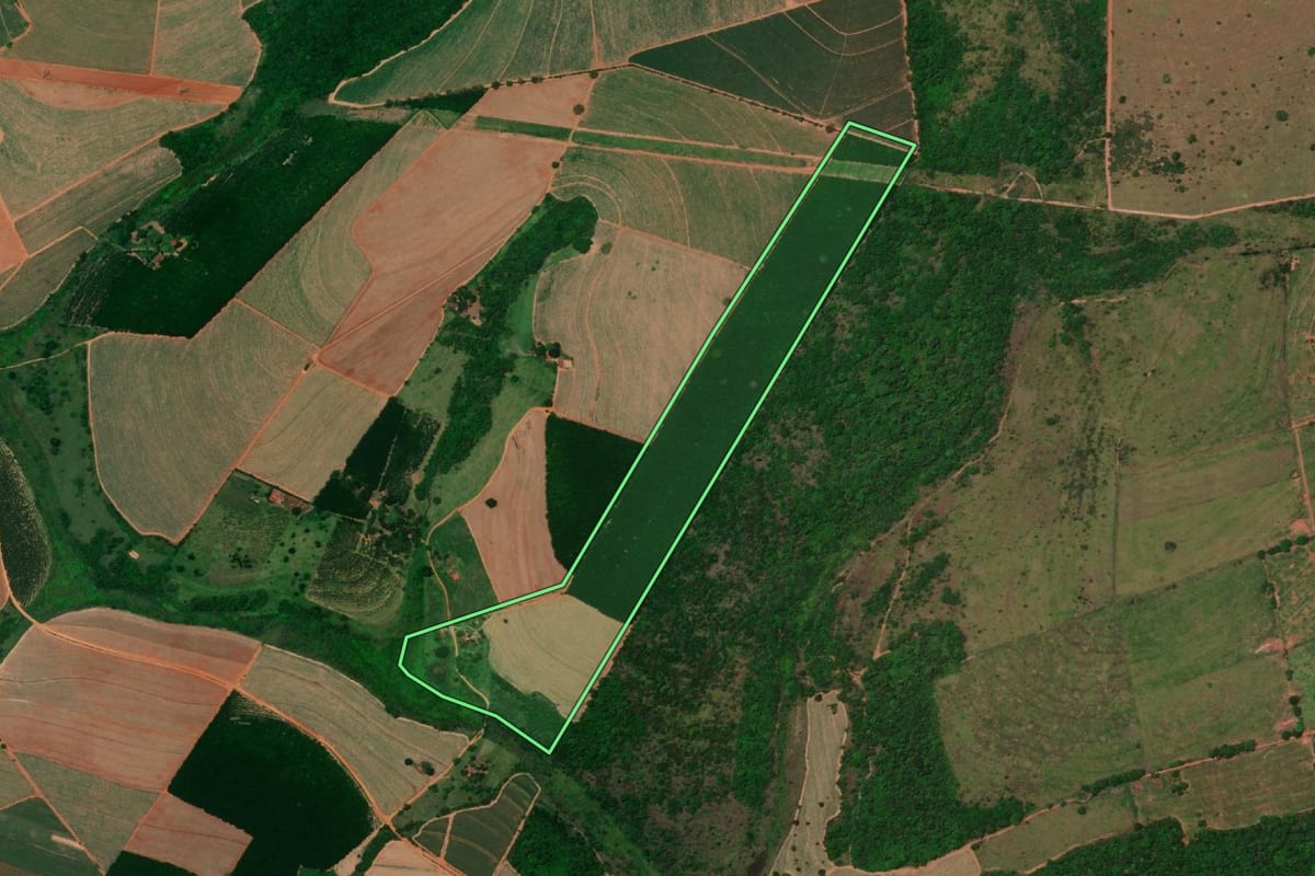 Imagem de satélite do imóvel rural em Colina (SP), com o contorno declarado no CAR desenhado por cima.