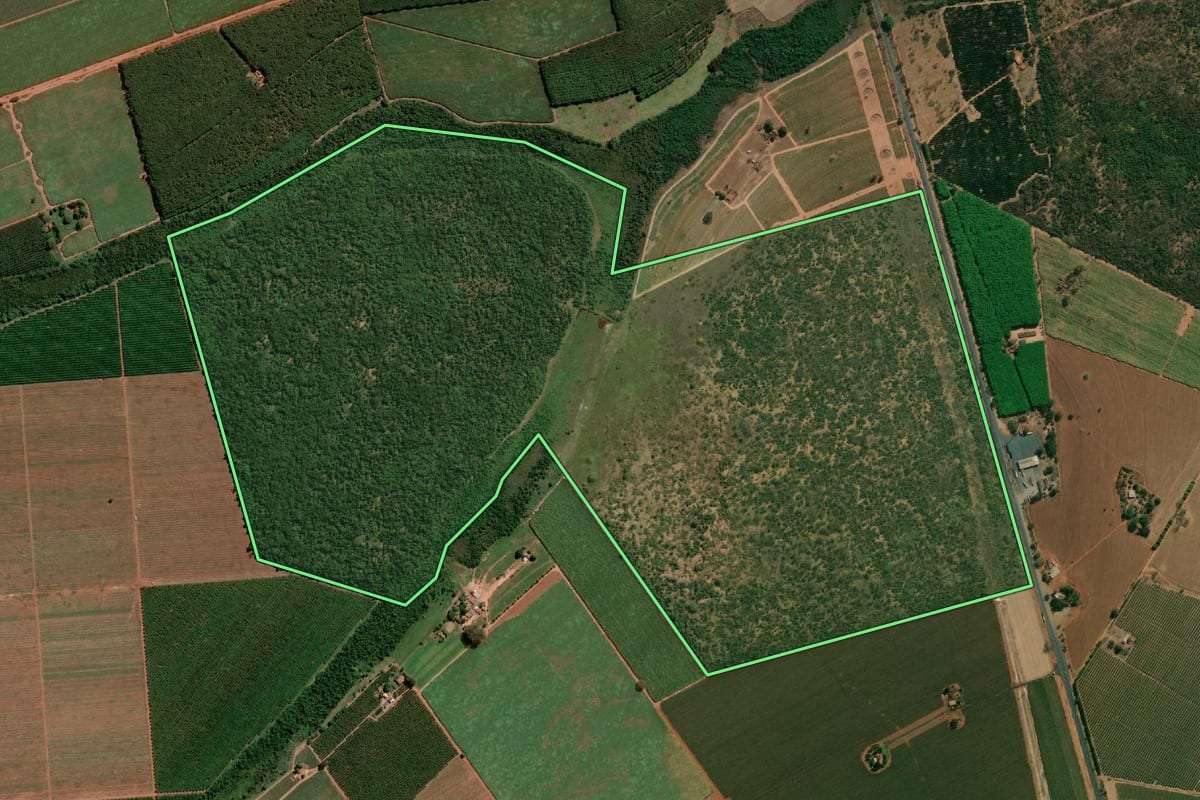 Imagem de satélite do imóvel rural em Colômbia (SP), com o contorno declarado no CAR desenhado por cima.