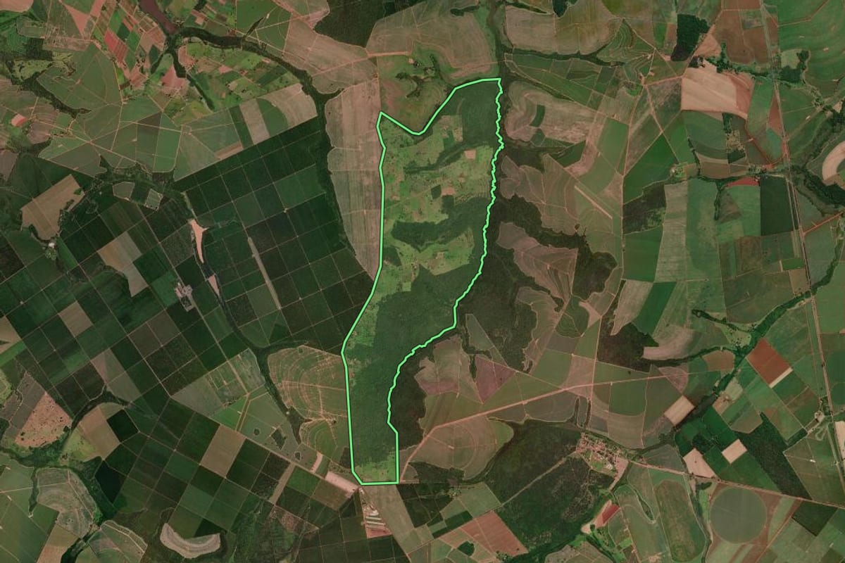 Imagem de satélite do imóvel rural em Colômbia (SP), com o contorno declarado no CAR desenhado por cima.