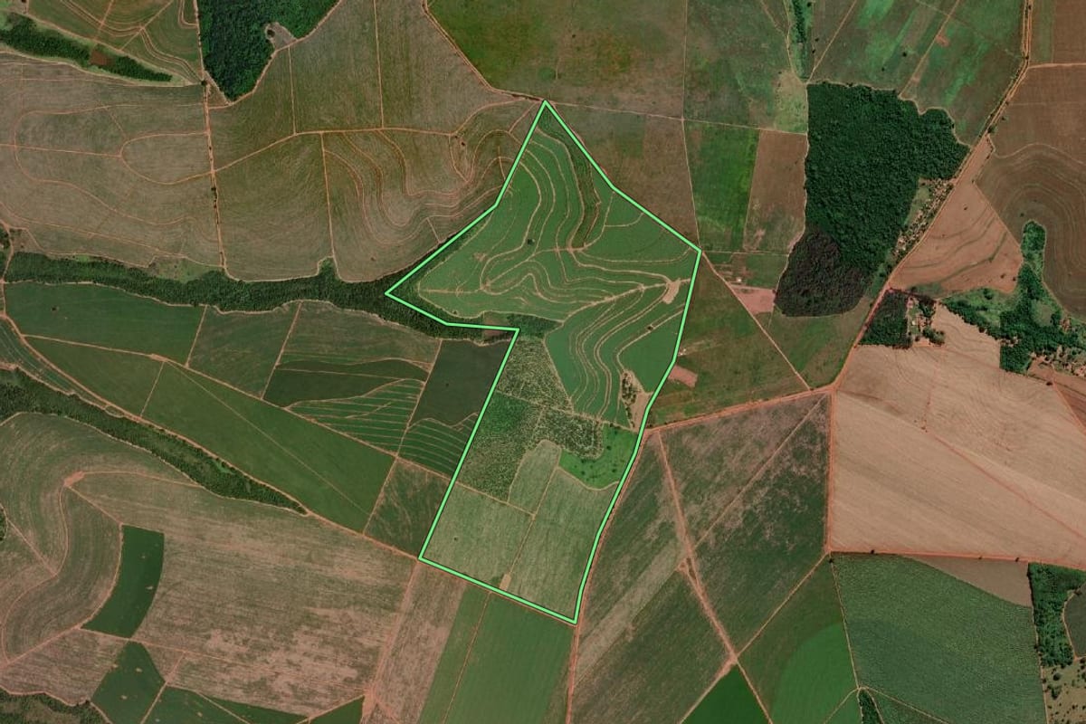 Imagem de satélite do imóvel rural em Colômbia (SP), com o contorno declarado no CAR desenhado por cima.