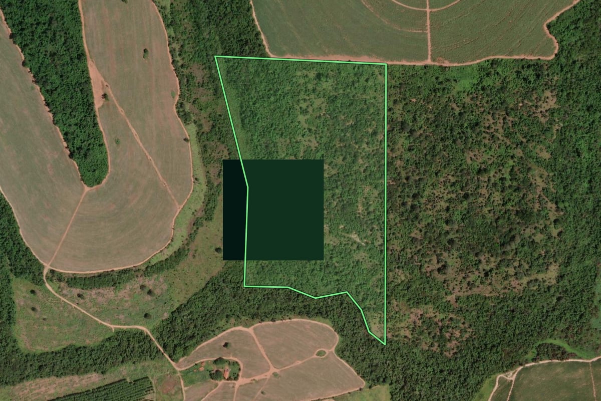 Imagem de satélite do imóvel rural em Colômbia (SP), com o contorno declarado no CAR desenhado por cima.