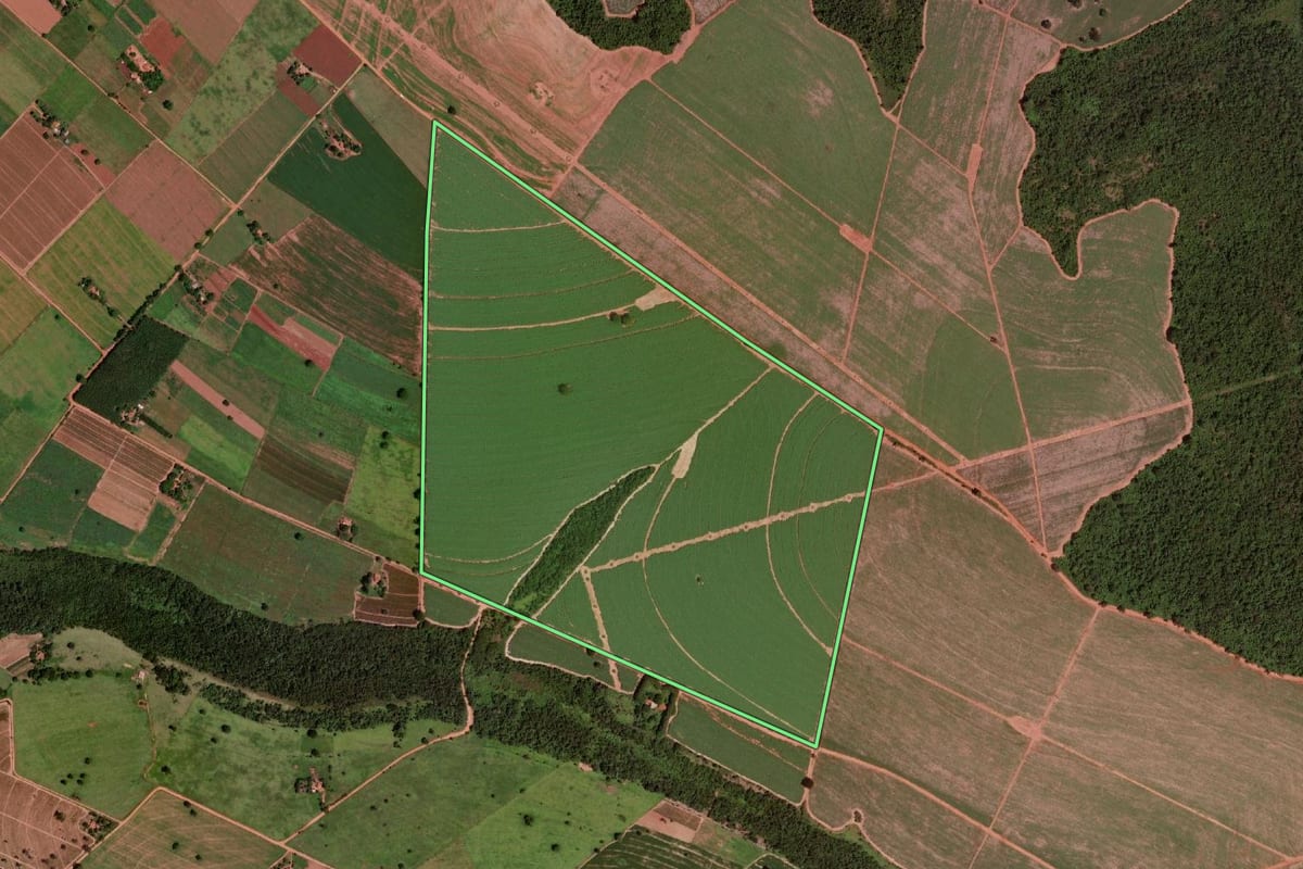 Imagem de satélite do imóvel rural em Colômbia (SP), com o contorno declarado no CAR desenhado por cima.