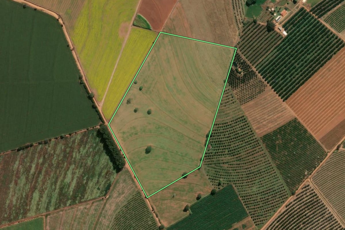 Imagem de satélite do imóvel rural em Conchal (SP), com o contorno declarado no CAR desenhado por cima.