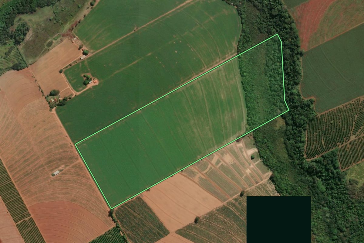 Imagem de satélite do imóvel rural em Conchal (SP), com o contorno declarado no CAR desenhado por cima.