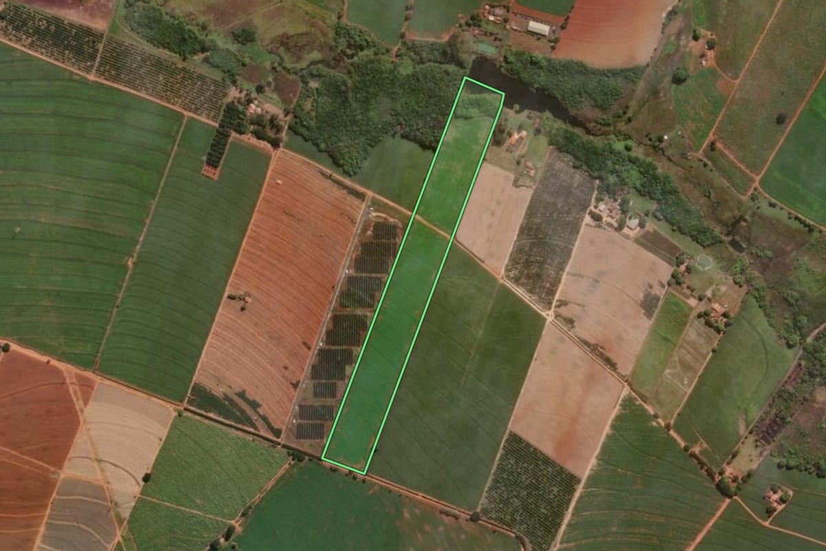 Imagem de satélite do imóvel rural em Conchal (SP), com o contorno declarado no CAR desenhado por cima.