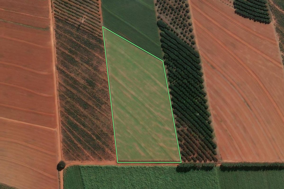 Imagem de satélite do imóvel rural em Conchal (SP), com o contorno declarado no CAR desenhado por cima.