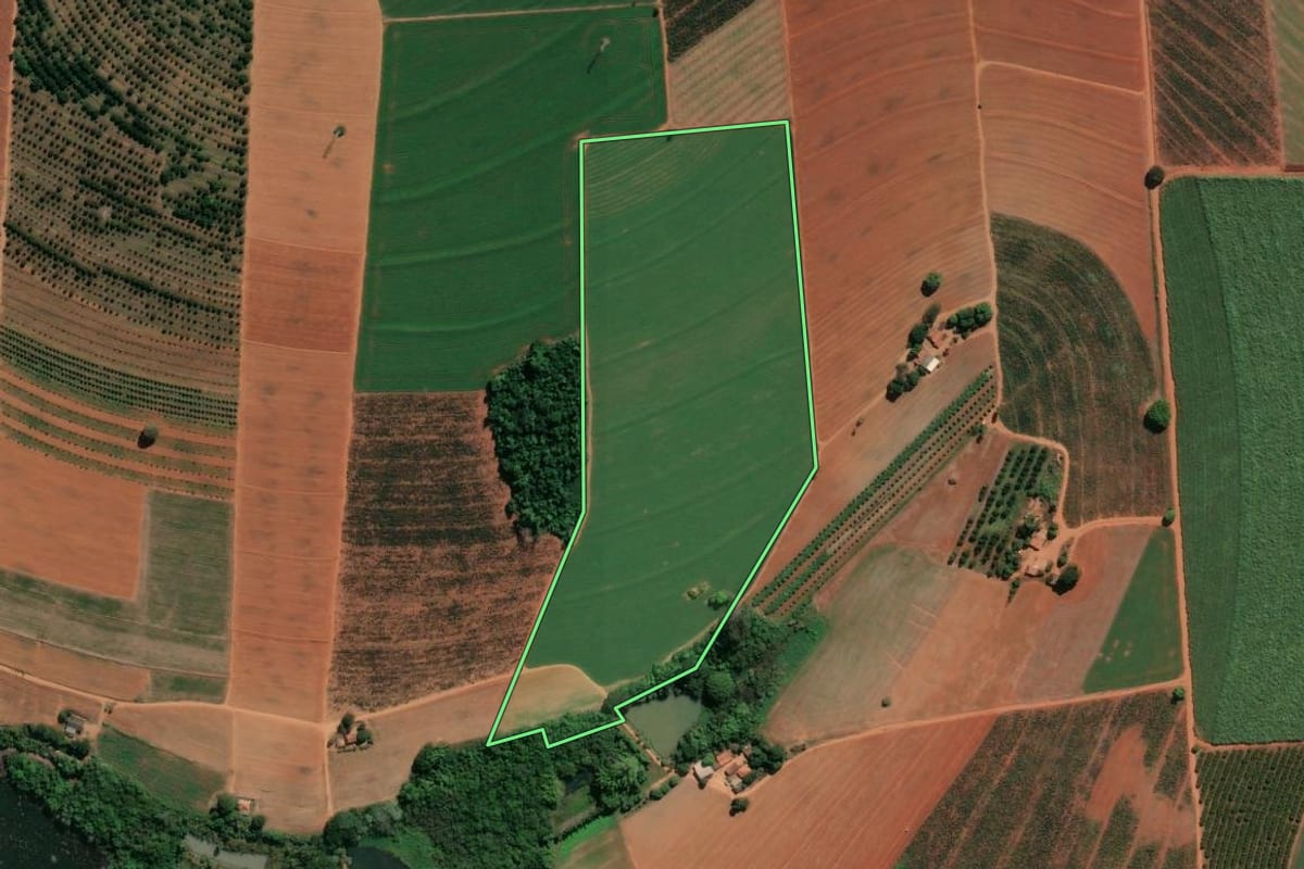 Imagem de satélite do imóvel rural em Conchal (SP), com o contorno declarado no CAR desenhado por cima.